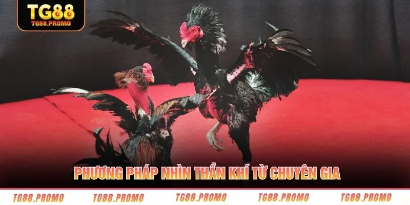 Phương pháp nhìn thần khí từ chuyên gia